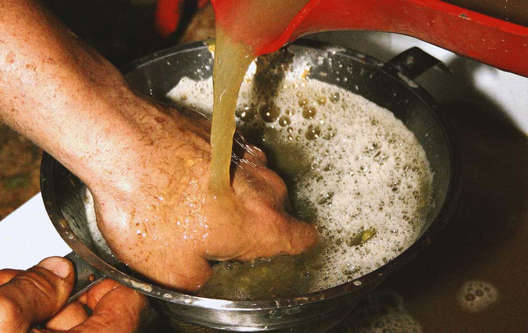 pressurage-vin-senlanne